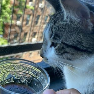 Meet your Posher, Adriana